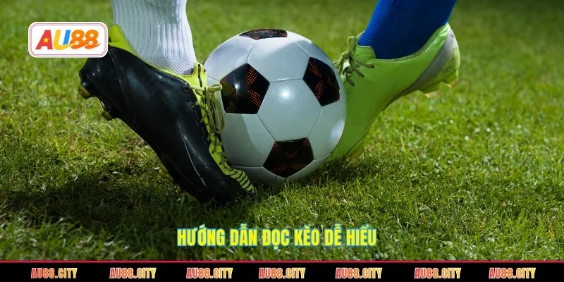 Các lưu ý khi tham khảo nhận định chuyên gia